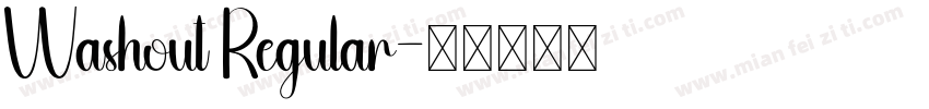 Washout Regular字体转换